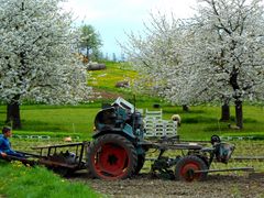 zwischen Acker und Wiese