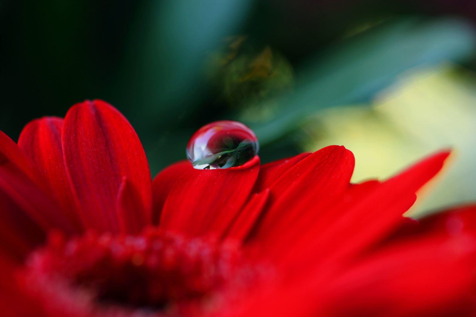 Zwischen all den Dingen, ein kleines Wasser