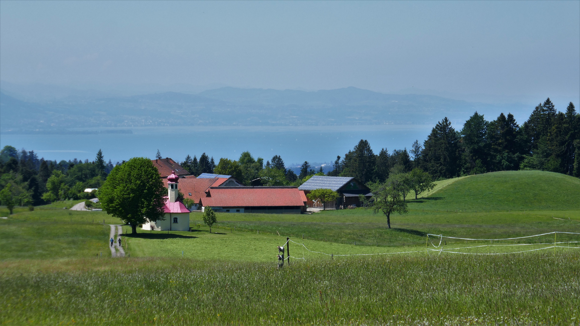 Zwischen Allgäu und Bodensee