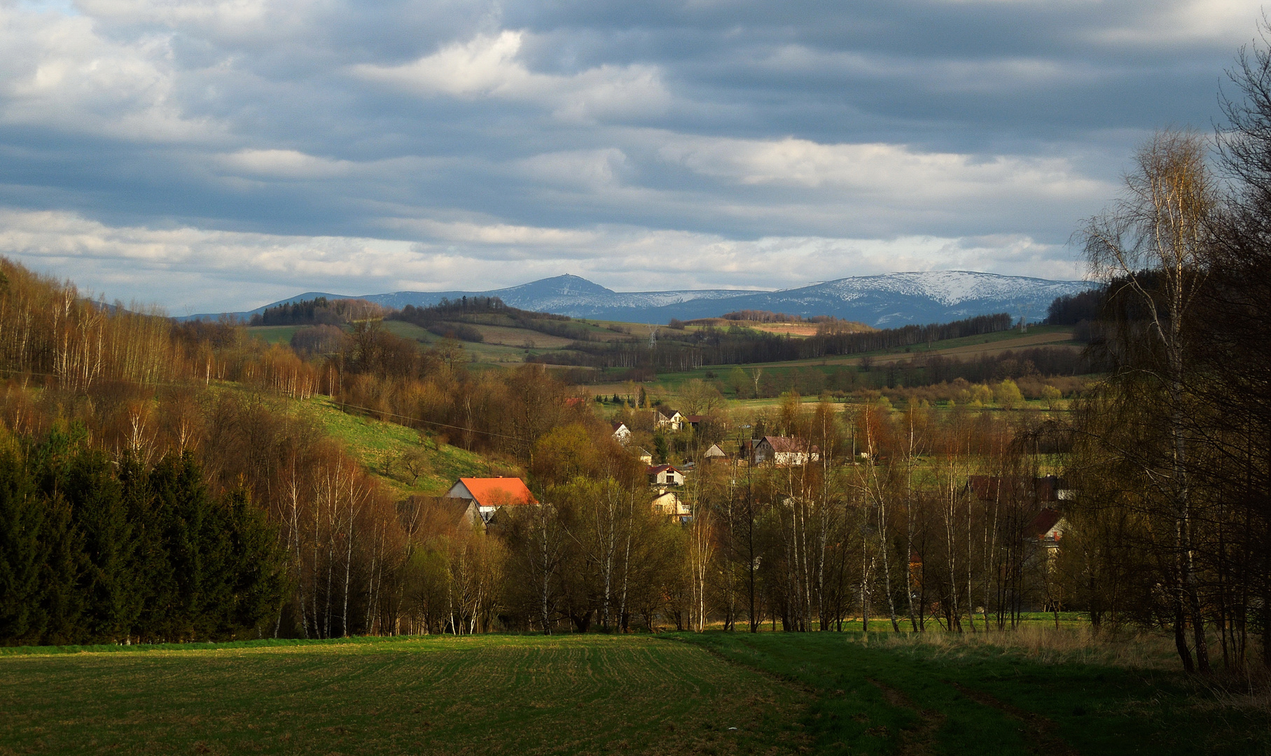 Zwischen Altkemmnitz