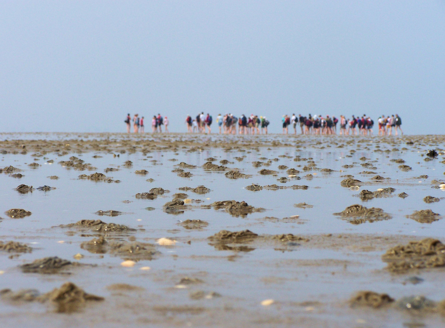 Zwischen Amrum und Foehr