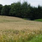 zwischen Annaberg und Wiesenbad