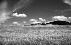 zwischen Ansprung und Grundau im Erzgebirge