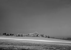 zwischen Asse und Elm