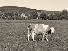 Zwischen Bad Kissingen und Bad Bocklet