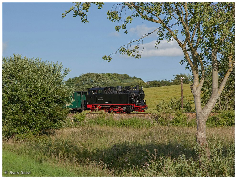 Zwischen Bäumen und Sträuchern bei Seelvitz