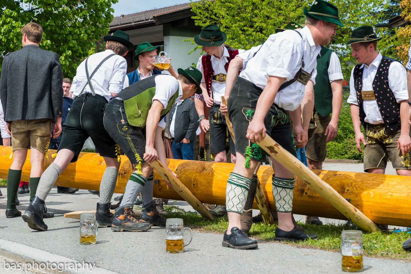 Zwischen Baum und Bier