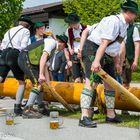 Zwischen Baum und Bier