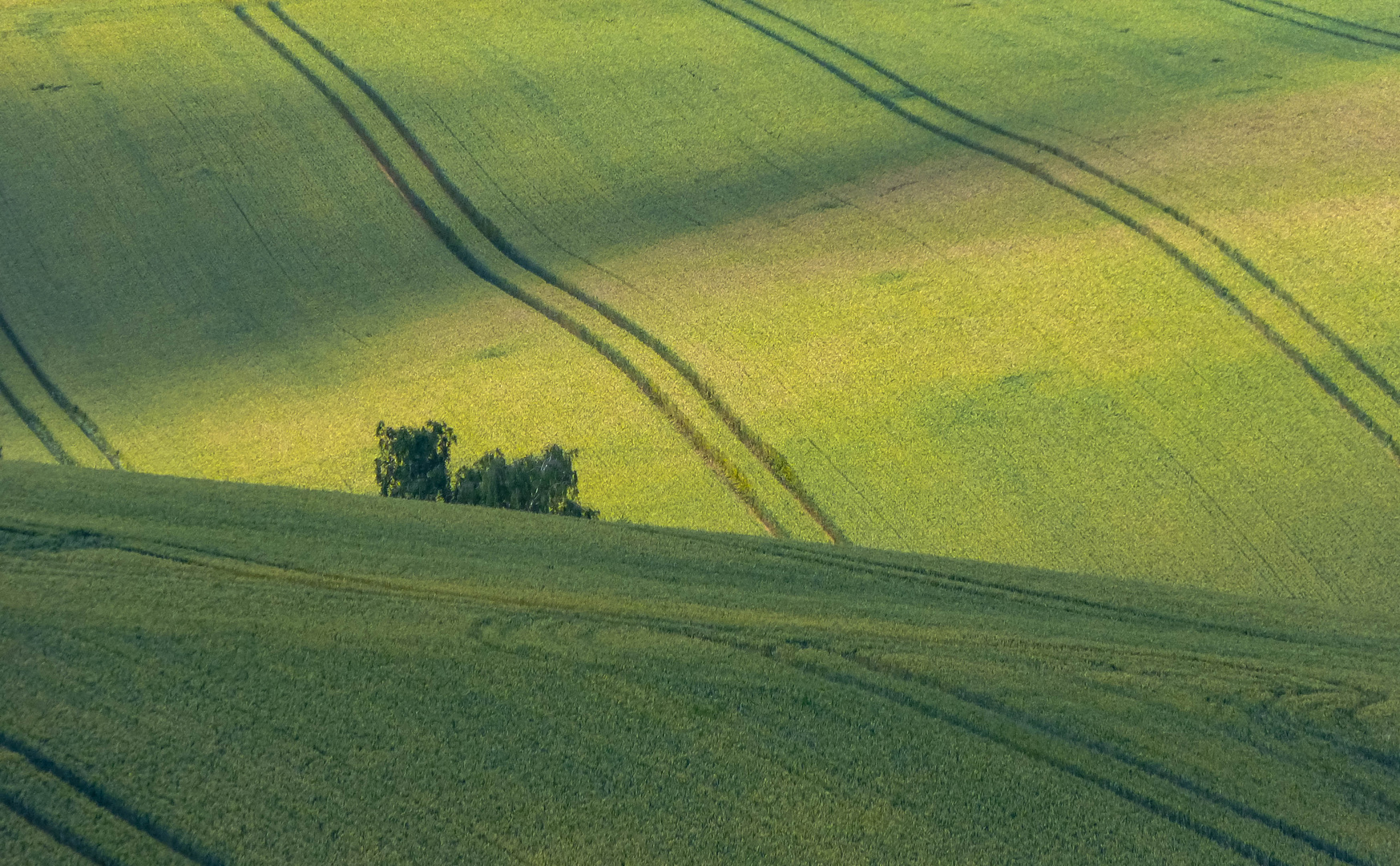 Zwischen Berg und Tal