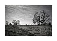 Zwischen Bike und Baum