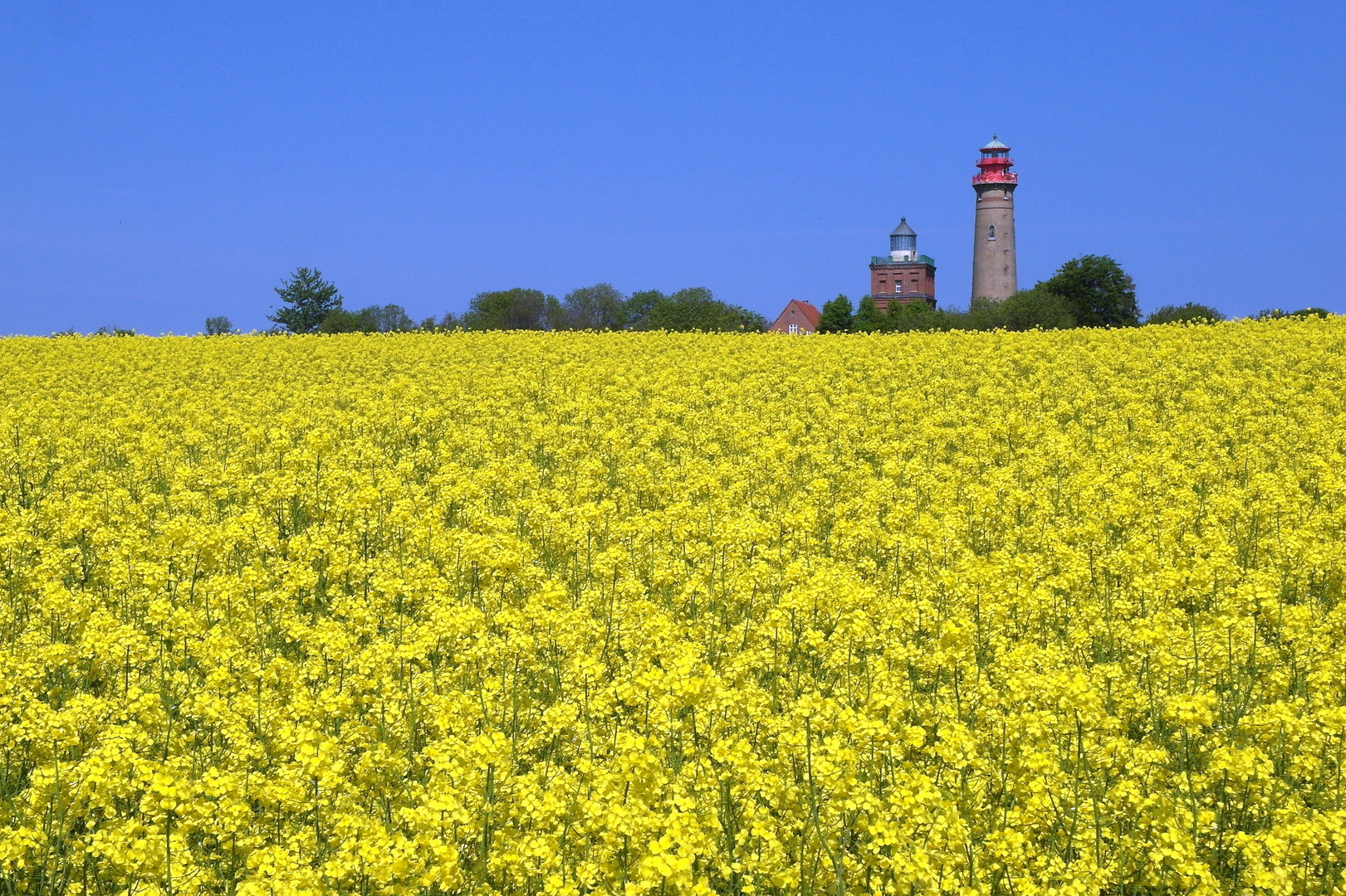 Zwischen Blau und Gelb - Insel Rügen Kap Arkona