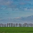 zwischen blau und grün