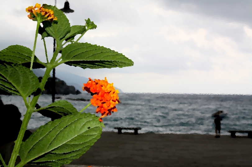 Zwischen blühender Flora und wütender Natur