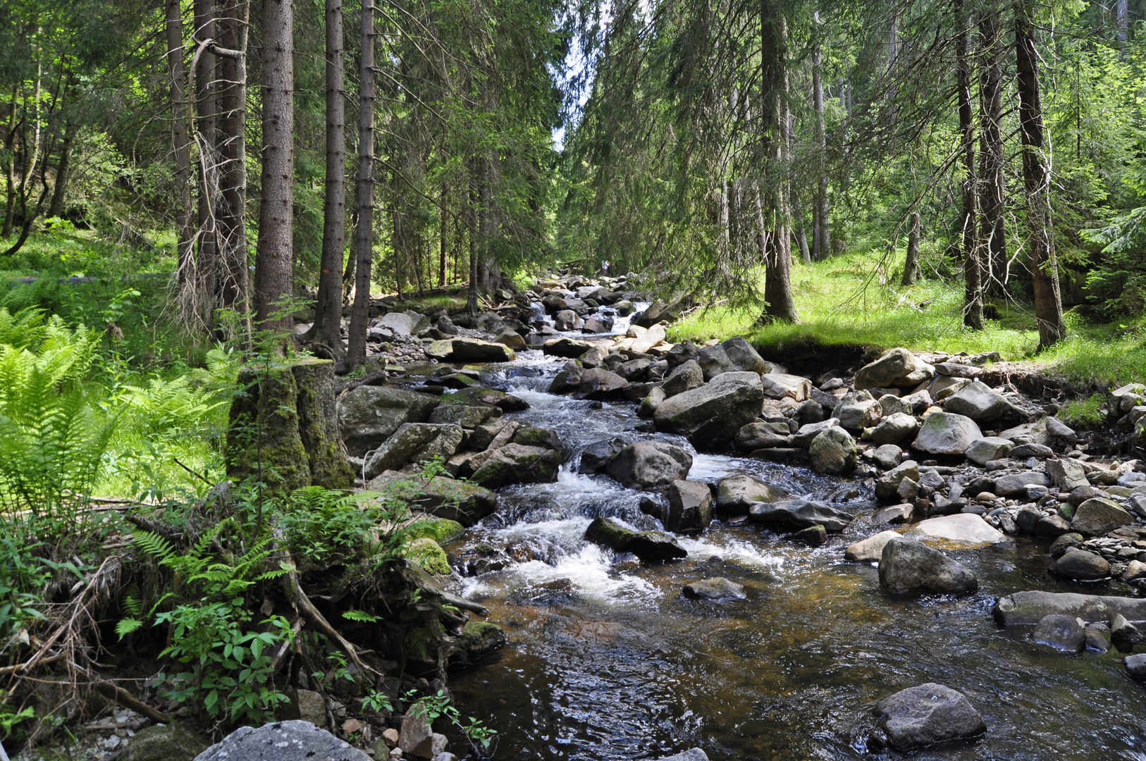 Zwischen Bozi Dar (Gottesgab) und Horní Blatná (Platten) CZ (10)