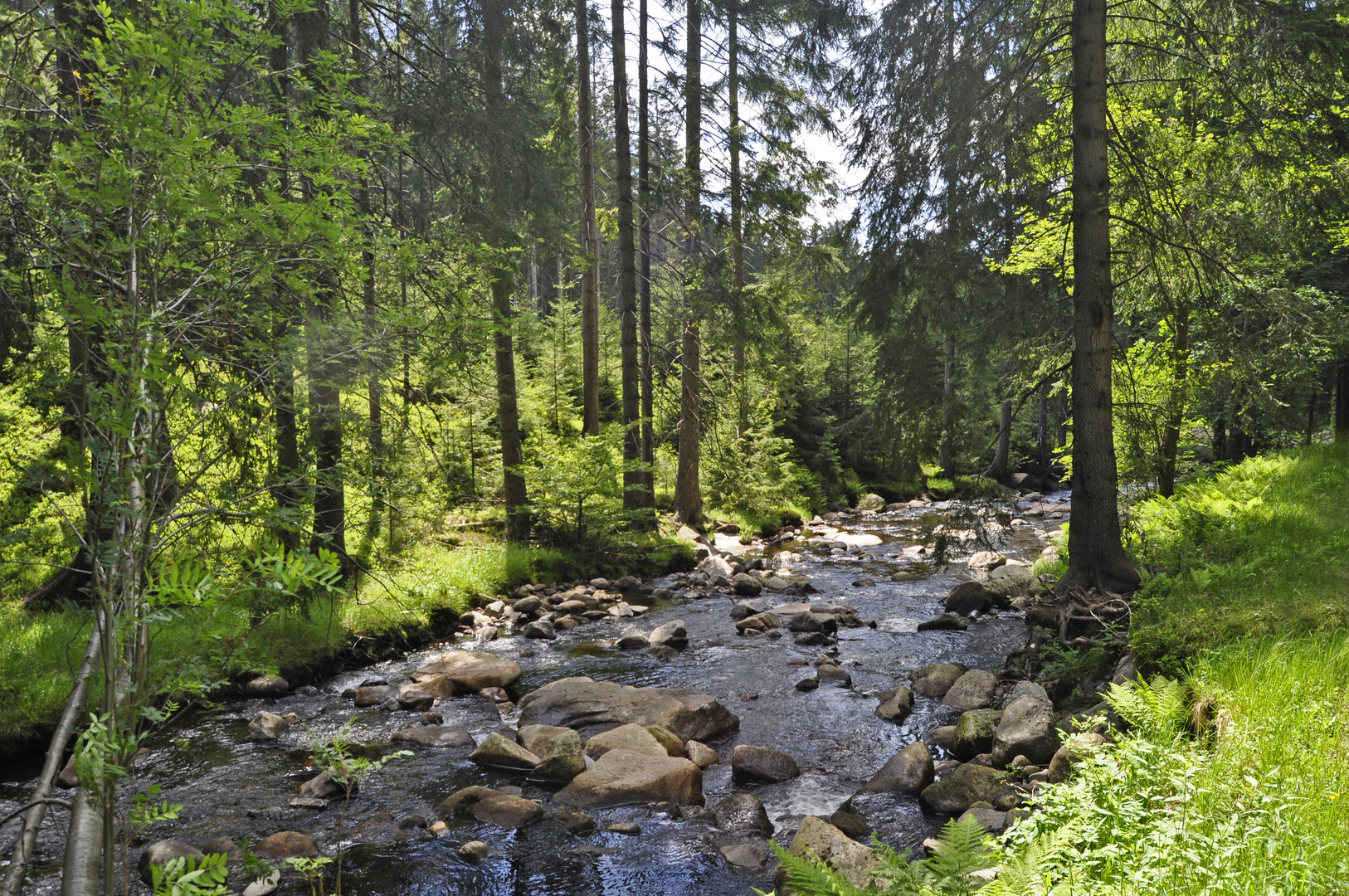 Zwischen Bozi Dar (Gottesgab) und Horní Blatná (Platten) CZ (11)