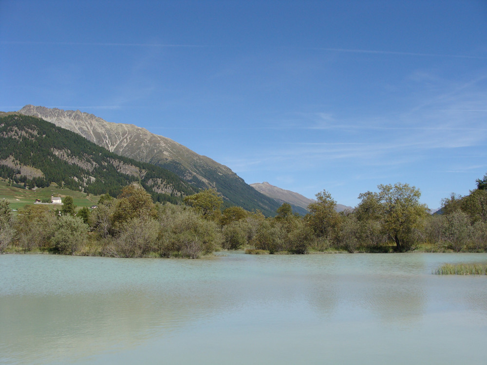 Zwischen Celerina und Samedan