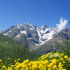 Zwischen Col de Galibier und Col de Lautared