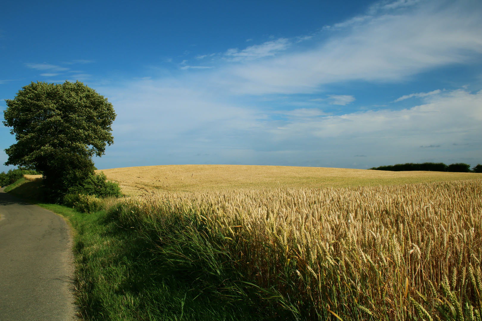 Zwischen Dalsgard und Rinkenaes