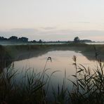 Zwischen Deich und Elbe