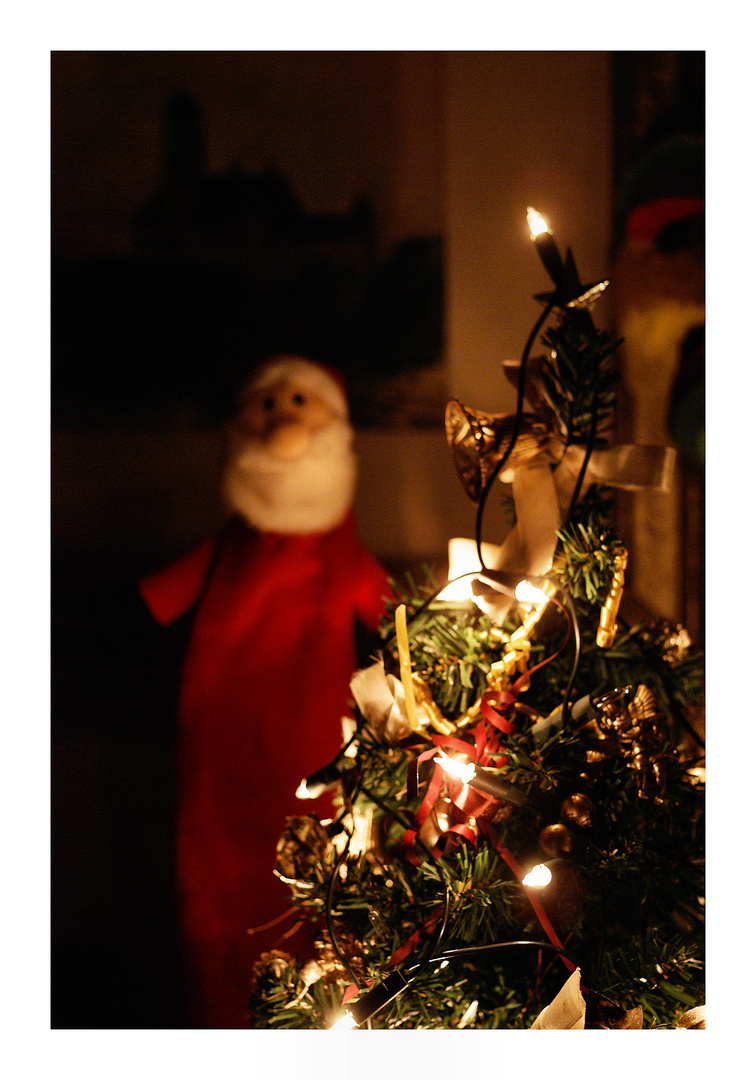 Zwischen dem Nikolaus und dem Weihnachtsbaum ...