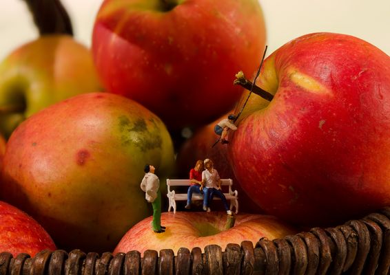 Zwischen den Äpfeln...