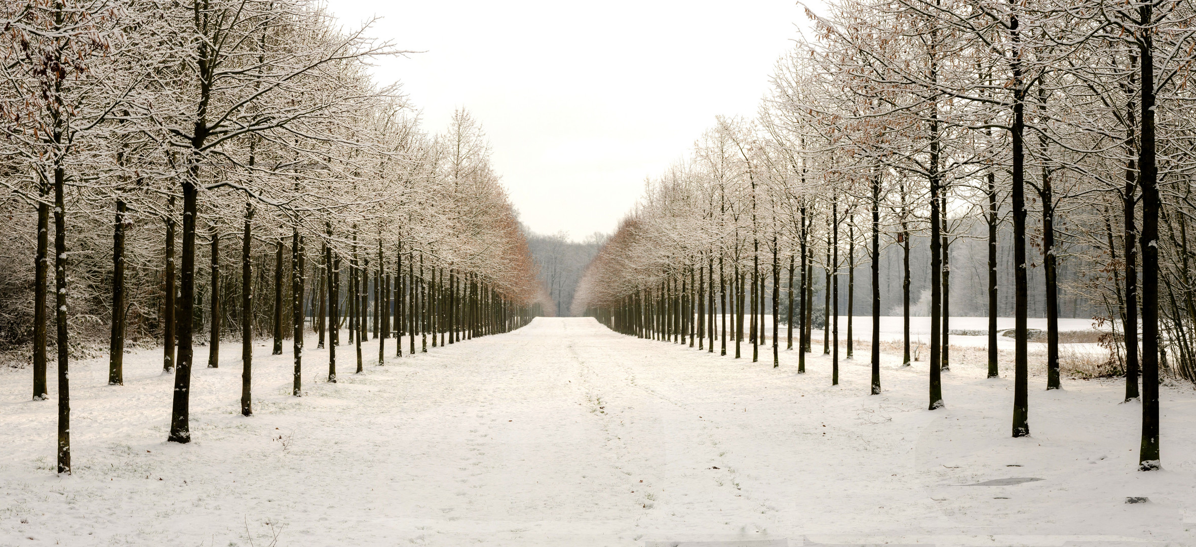 Zwischen den Alleen - im Schnee