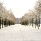 Zwischen den Alleen - im Schnee