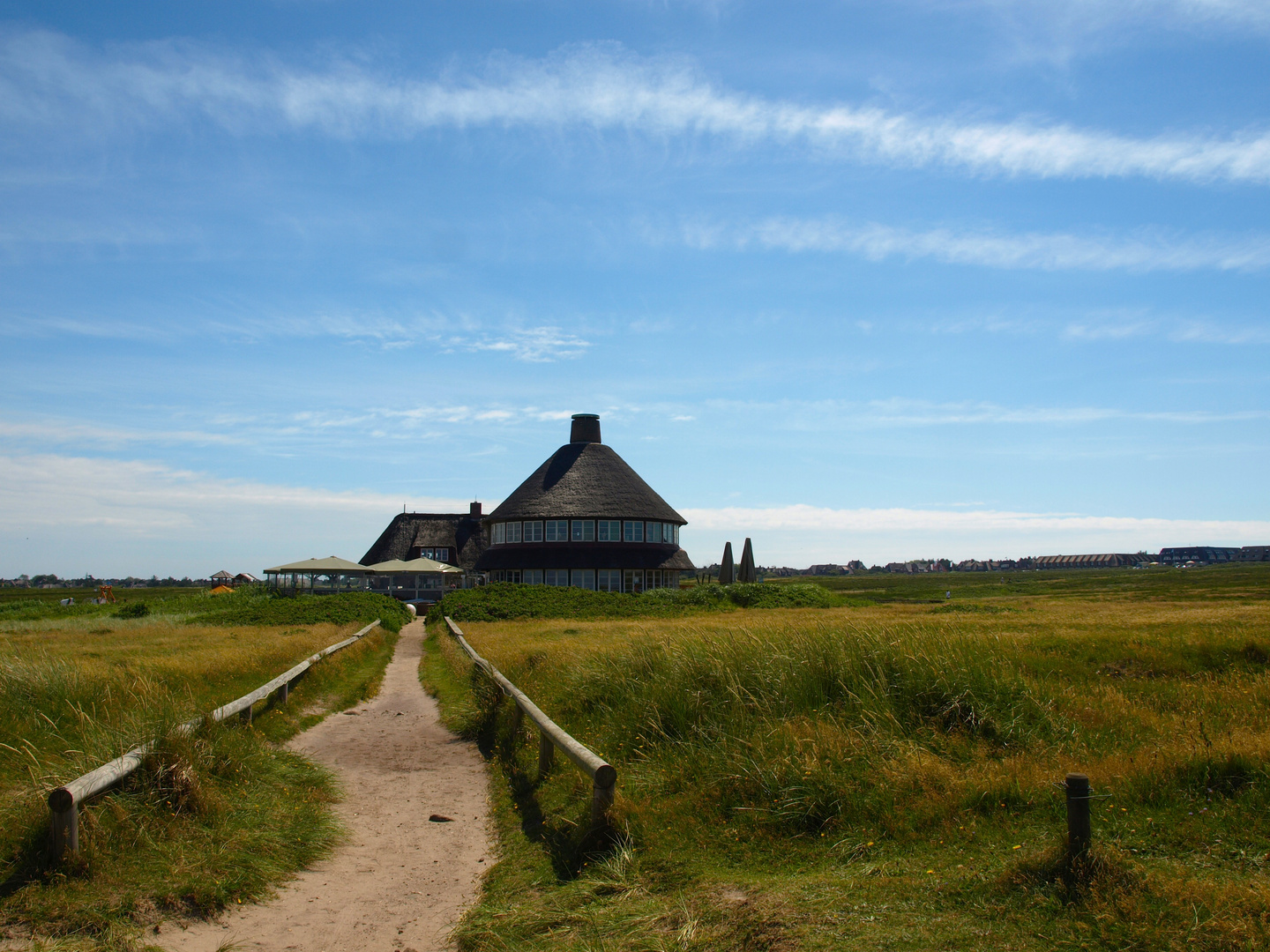 Zwischen den Duenen