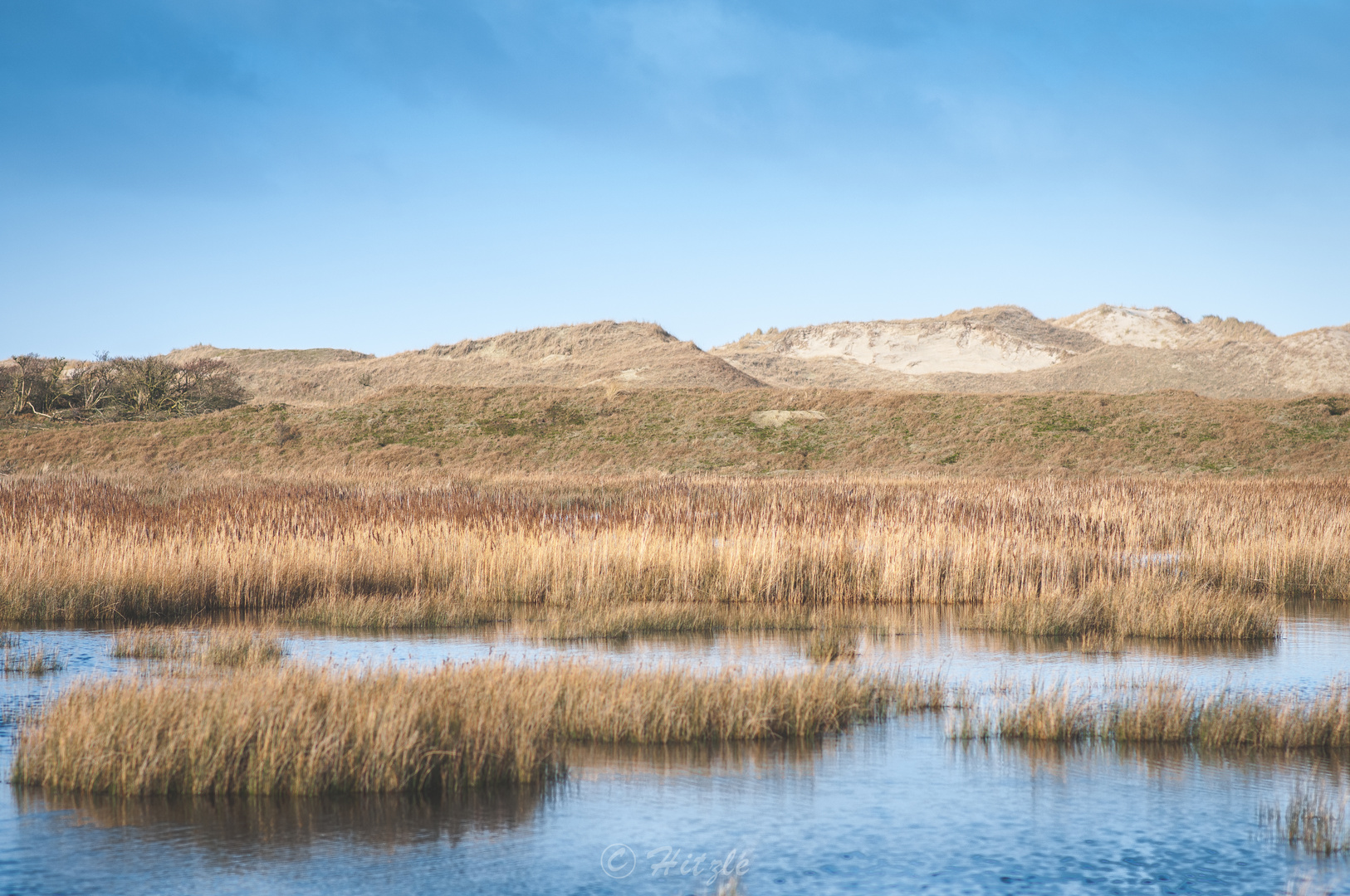 Zwischen den Dünen 2/3