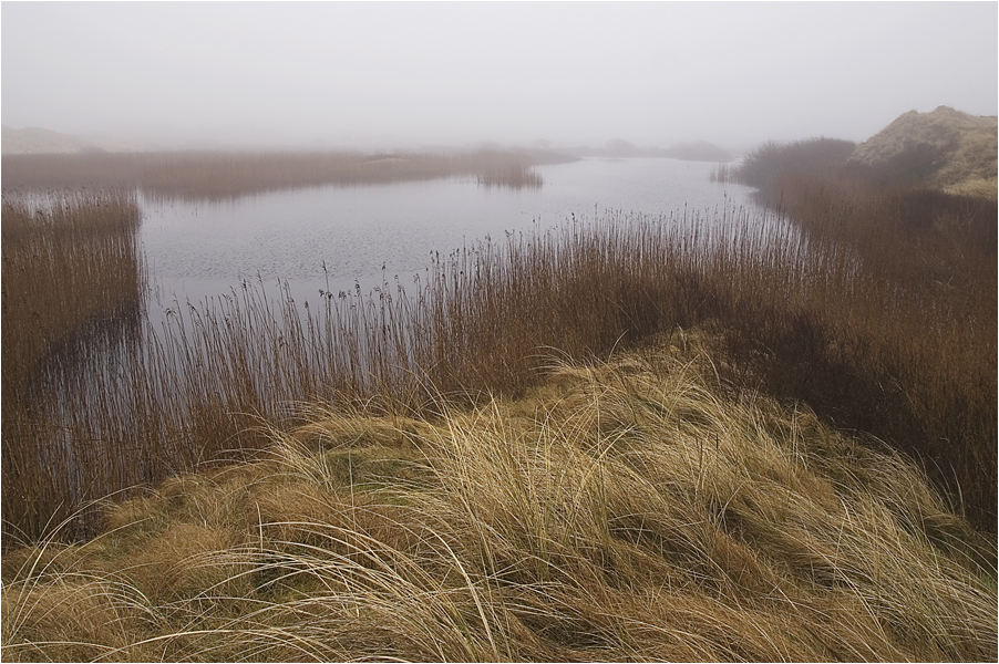 zwischen den Dünen