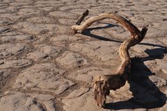 Zwischen den Dünen - Death Valley National Park