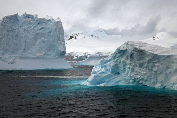 Zwischen den Eisbergen...