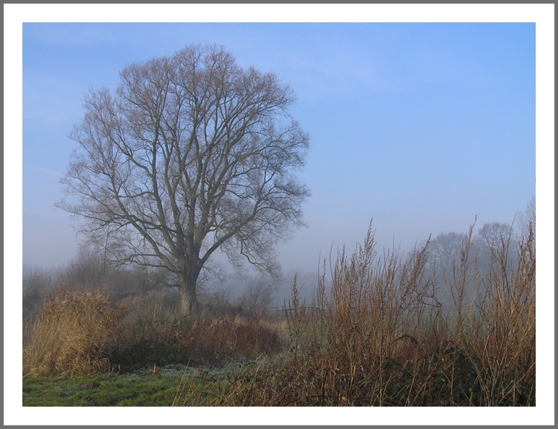 Zwischen den Feldern