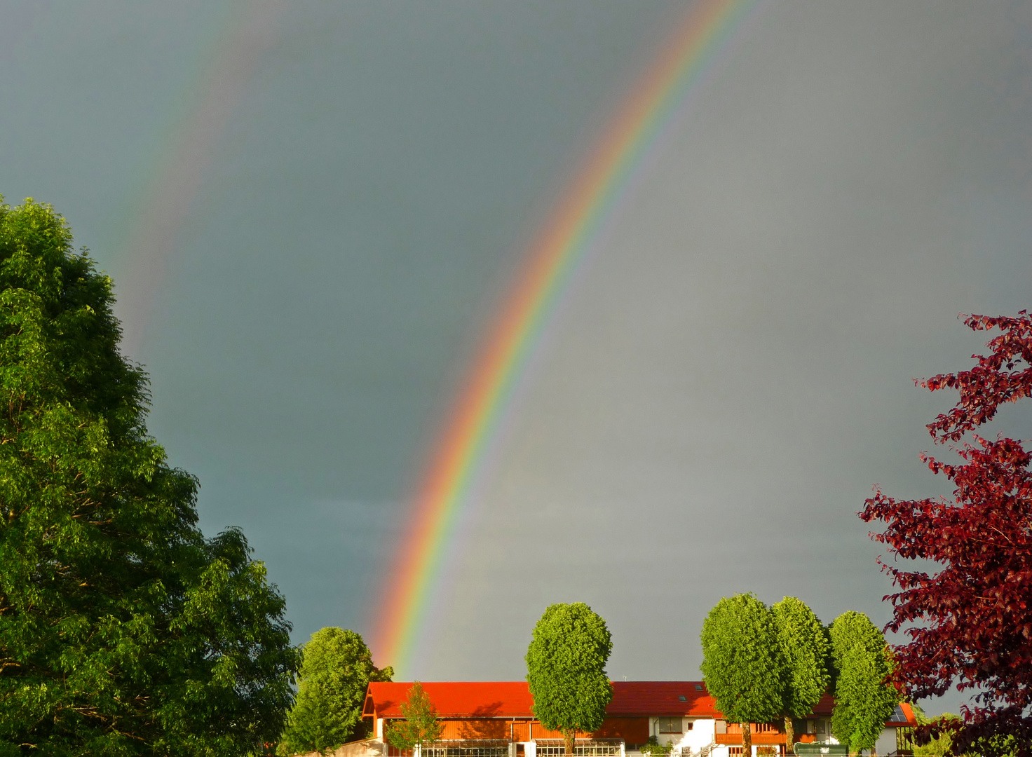 Zwischen den Fronten