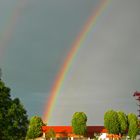 Zwischen den Fronten