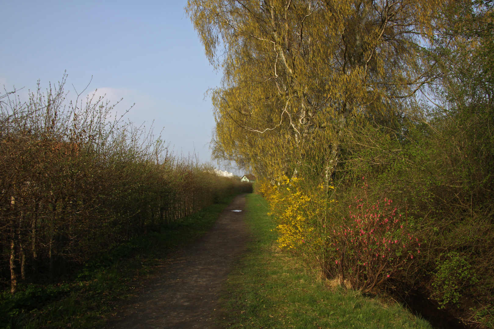 Zwischen den Gärten