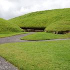 Zwischen den Grabhügeln von Knowth