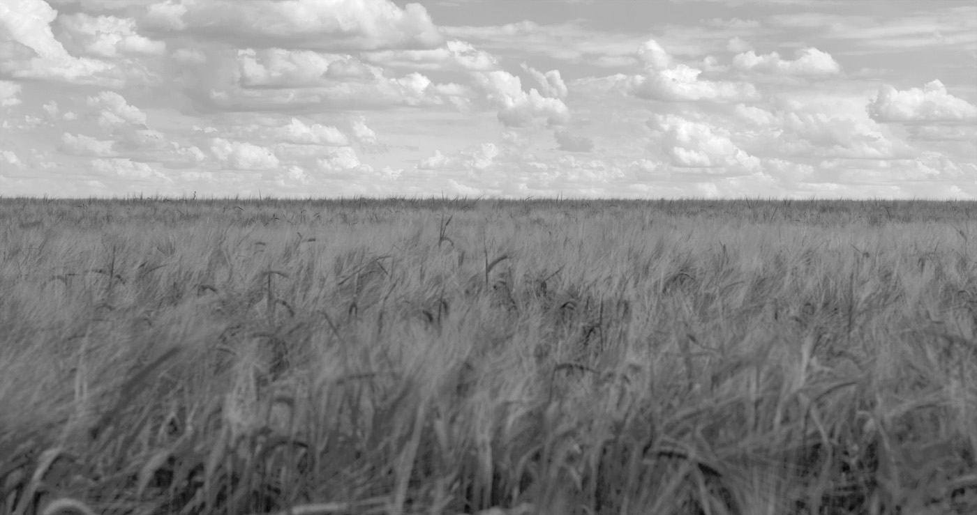 Zwischen den Himmel und Erde