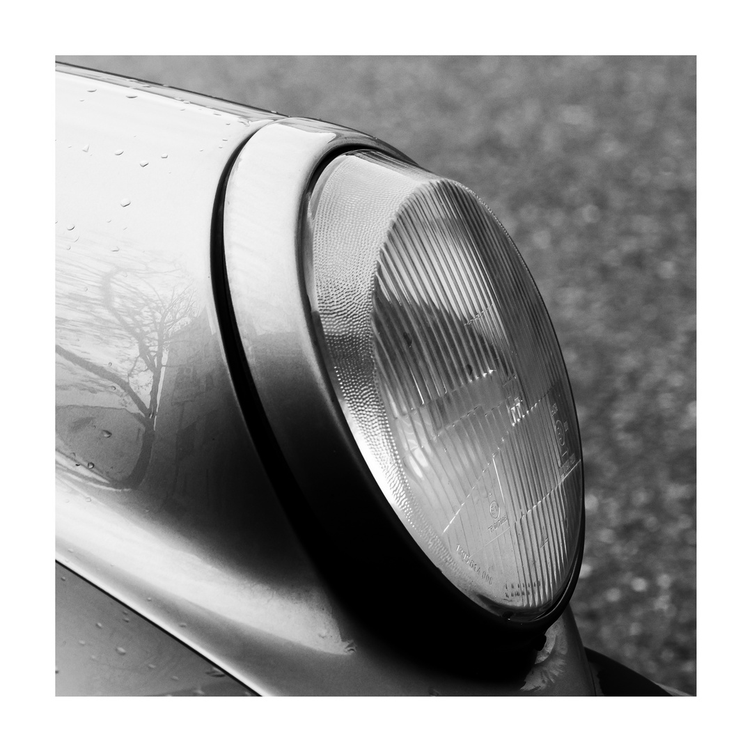 Bilder zwischen den Jahren: A Journey Through Time in Art