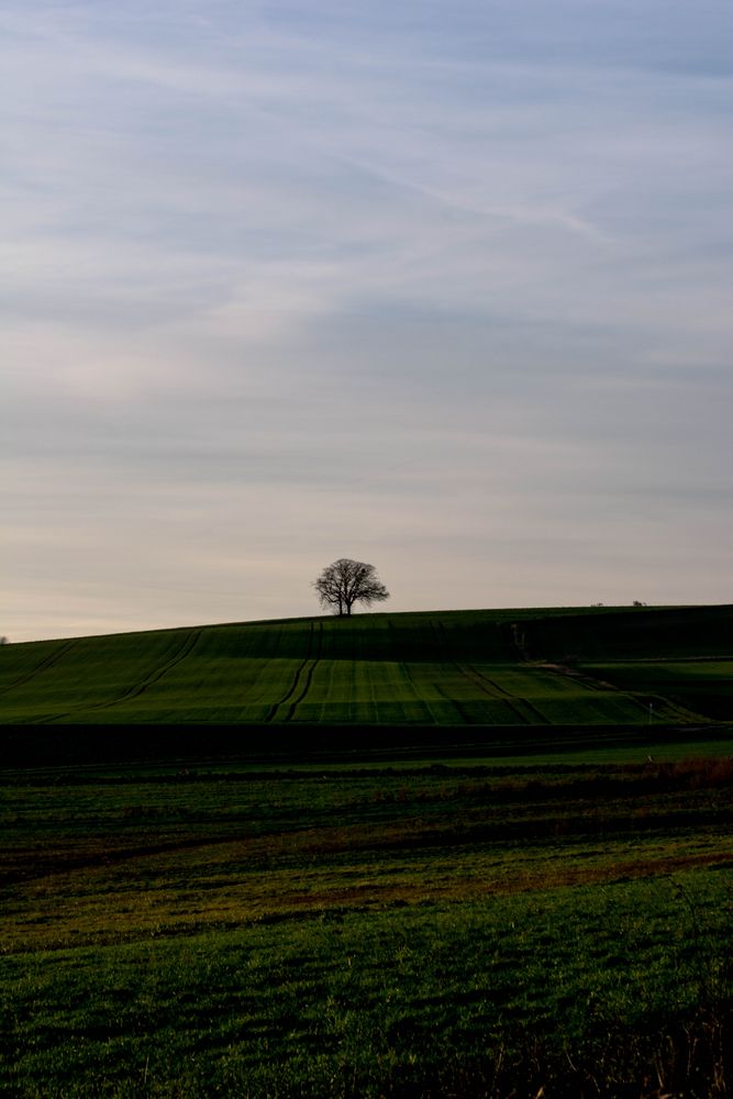 Zwischen den Jahren