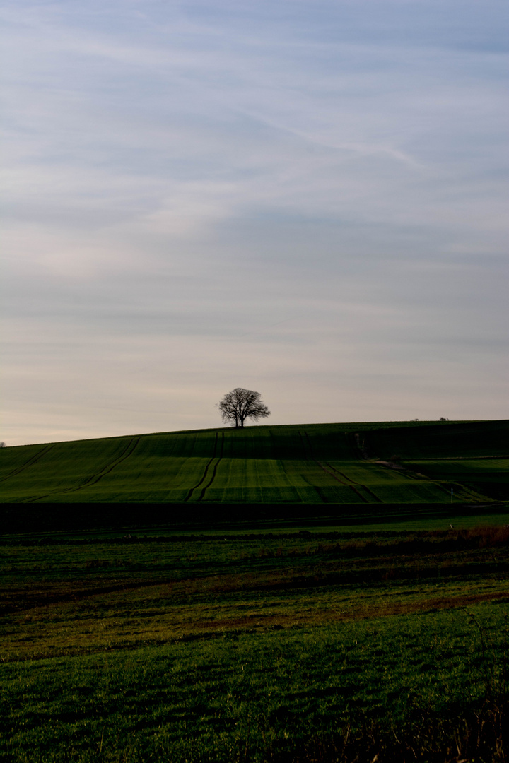 Zwischen den Jahren