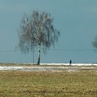 Zwischen den Jahreszeiten