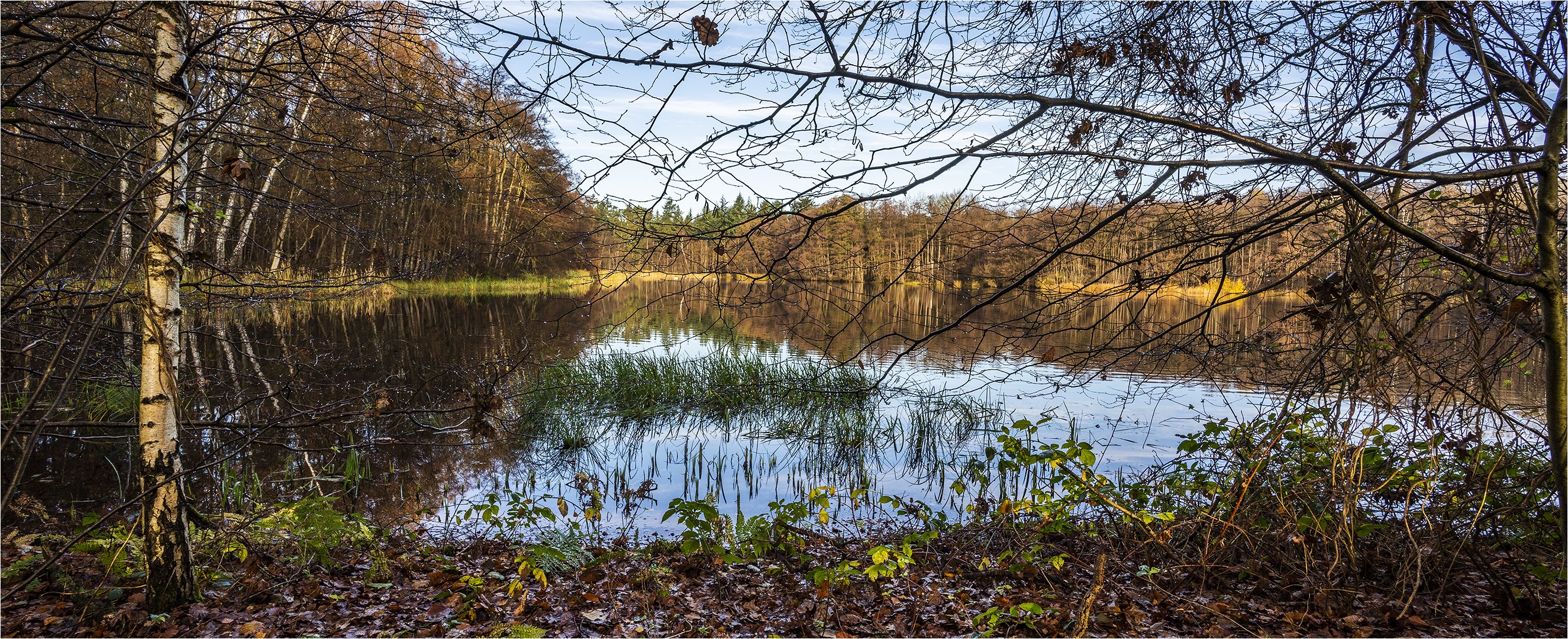 … Zwischen den Jahreszeiten …