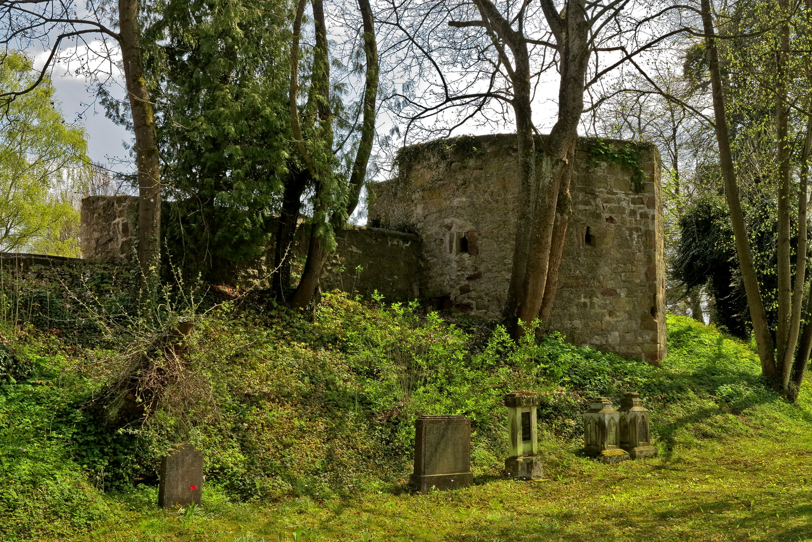 Zwischen den Mauern