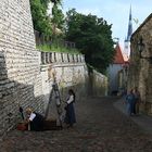 Zwischen den Mauern von Tallinn