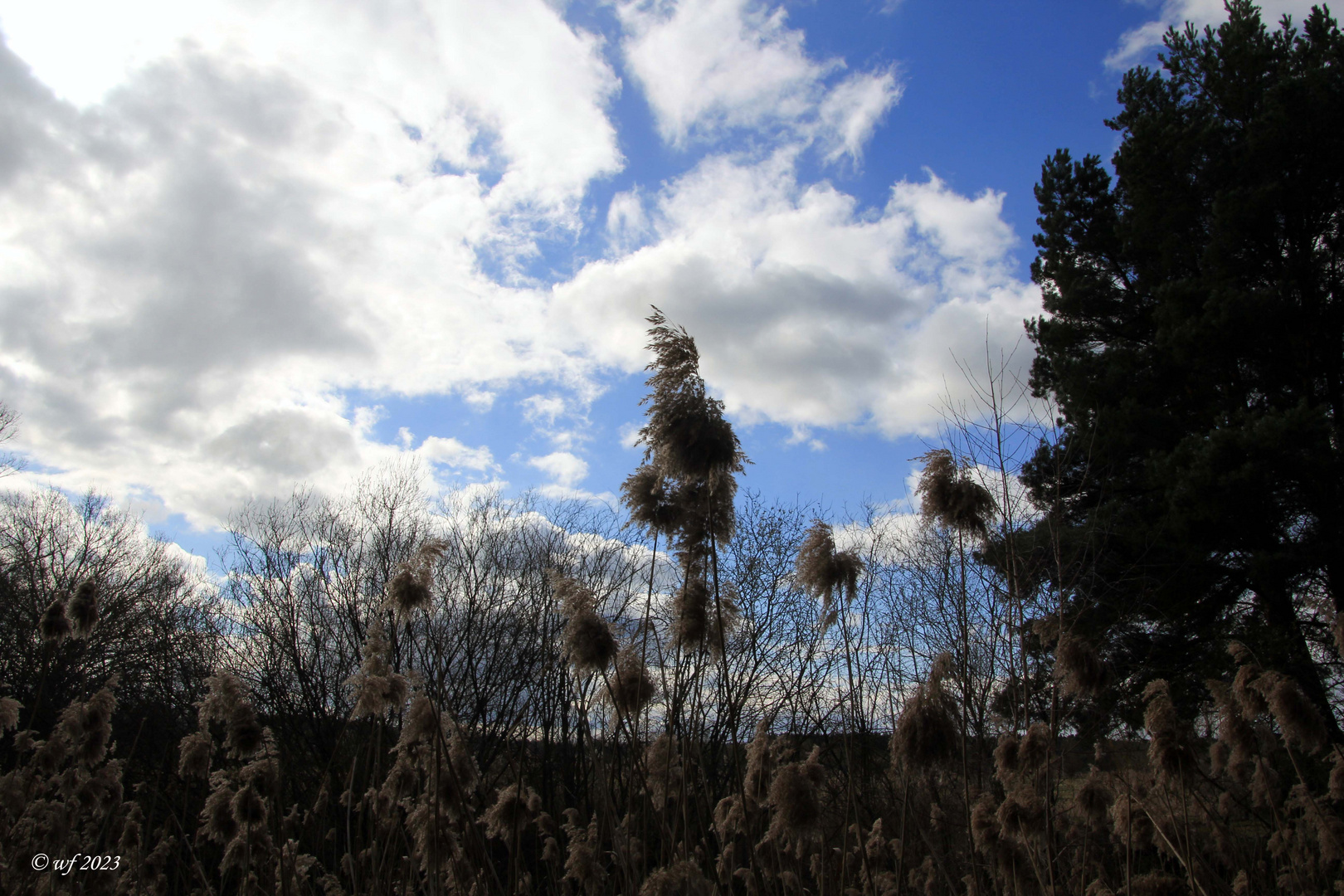 Zwischen den Teichen Foto & Bild world, landschaften, wolken Bilder