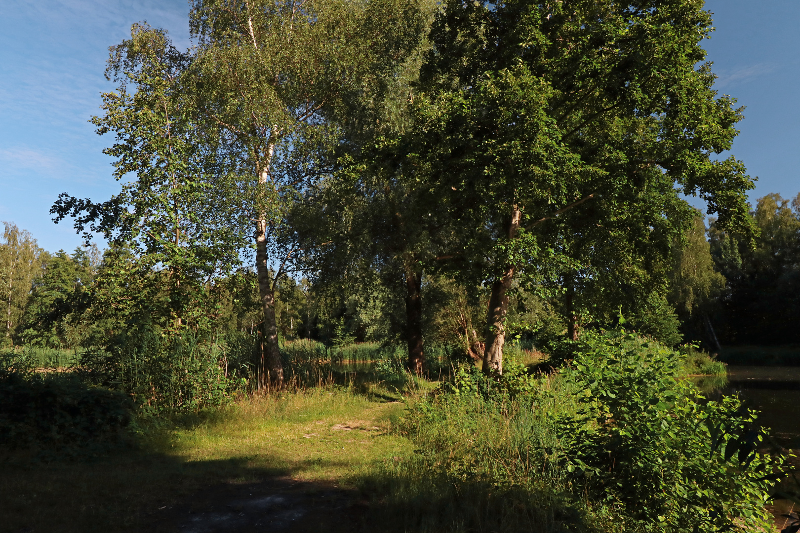 Zwischen den Teichen Foto & Bild landschaften, sommer, wasser Bilder