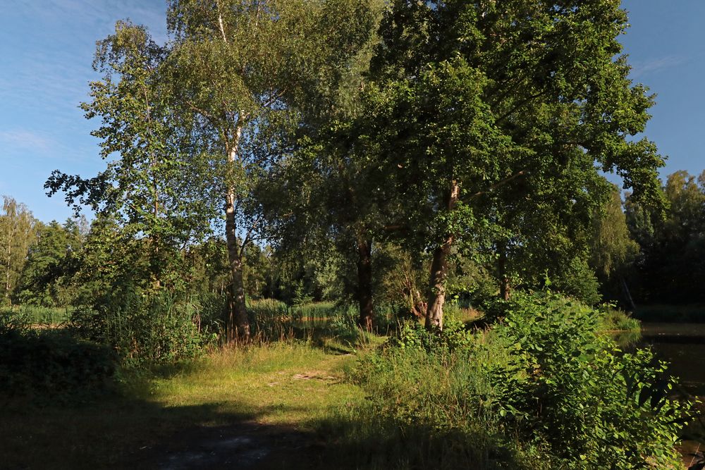 Zwischen den Teichen Foto & Bild landschaften, sommer, wasser Bilder