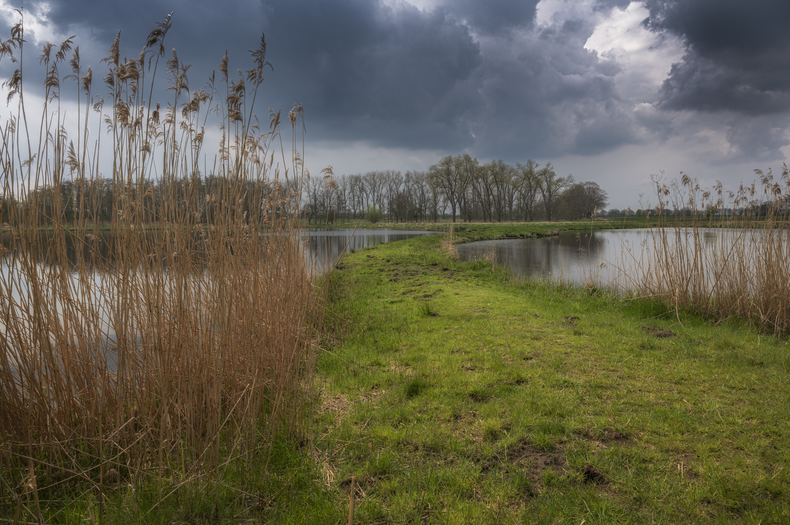 Zwischen den Teichen