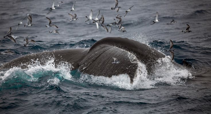 Zwischen den Welten II